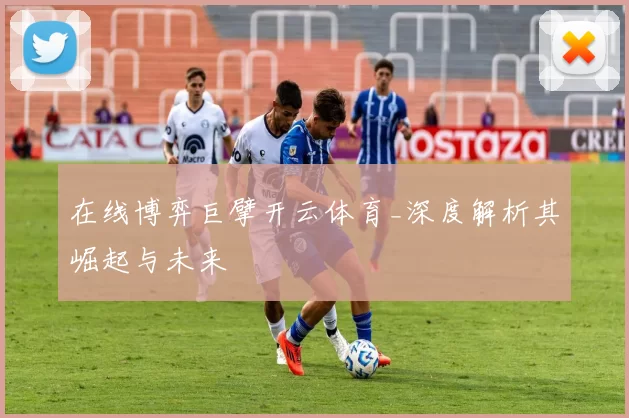 在线博弈巨擘开云体育_深度解析其崛起与未来