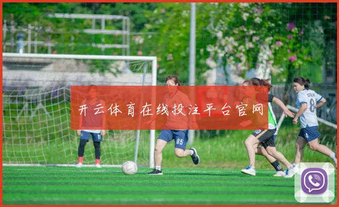 开云体育在线投注平台官网