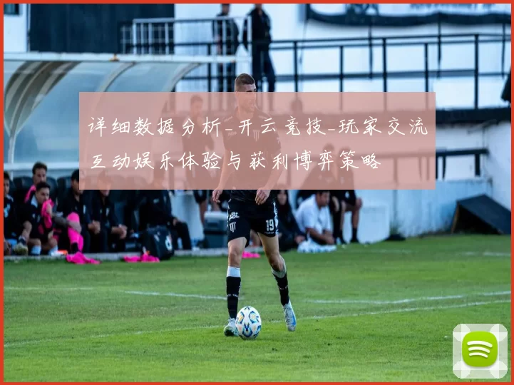 详细数据分析_开云竞技_玩家交流互动娱乐体验与获利博弈策略