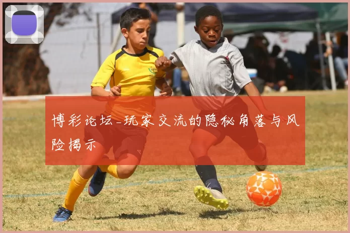 博彩论坛_玩家交流的隐秘角落与风险揭示
