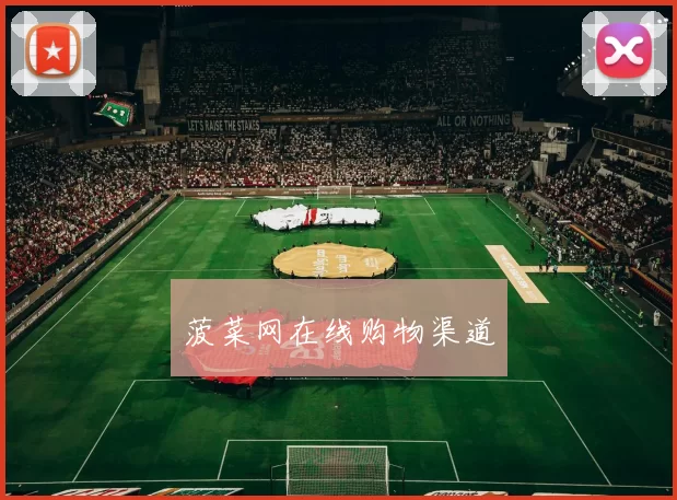 菠菜网在线购物渠道