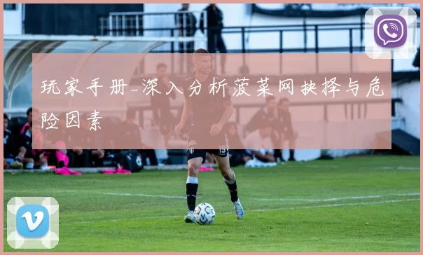 玩家手册_深入分析菠菜网抉择与危险因素