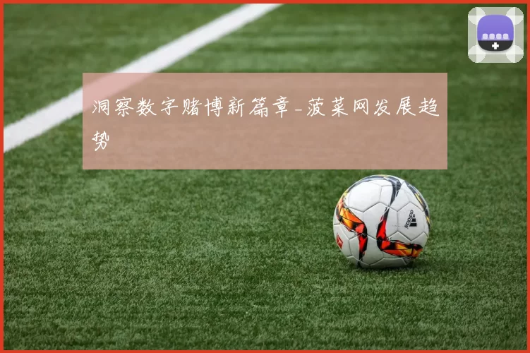 洞察数字赌博新篇章_菠菜网发展趋势