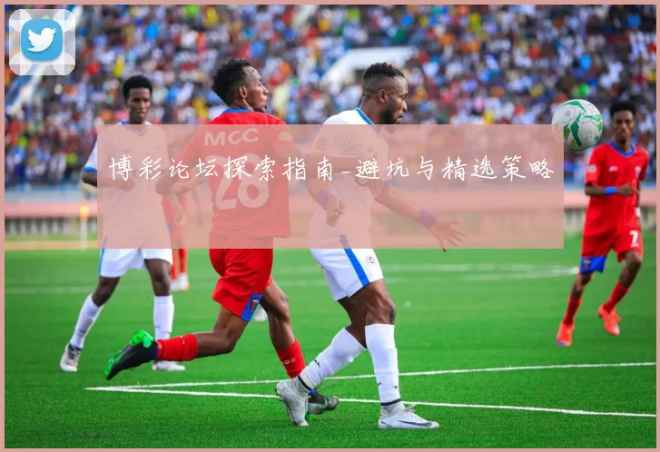 博彩论坛探索指南_避坑与精选策略