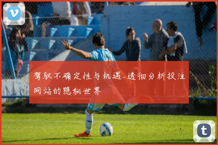 驾驭不确定性与机遇_透彻分析投注网站的隐秘世界