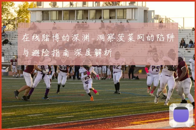 在线赌博的深渊_洞察菠菜网的陷阱与避险指南 深度解析