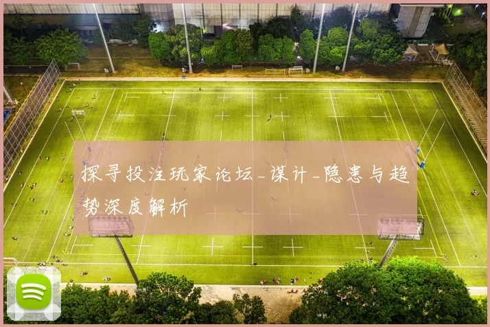 探寻投注玩家论坛_谋计_隐患与趋势深度解析