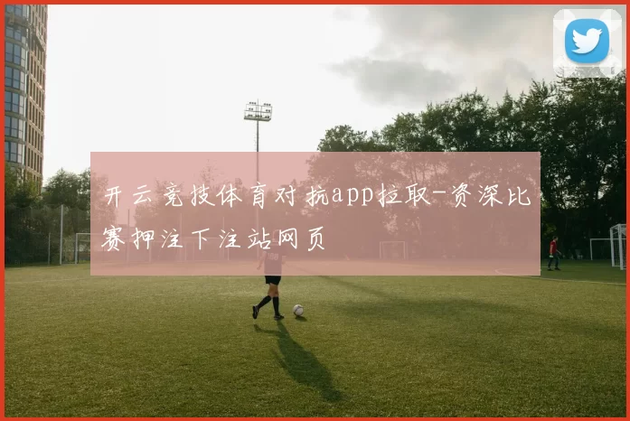开云竞技体育对抗app拉取-资深比赛押注下注站网页