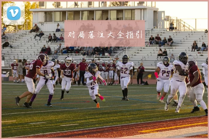 对局落注大全指引