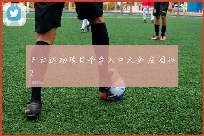 开云运动项目平台入口大全 庄闲和2