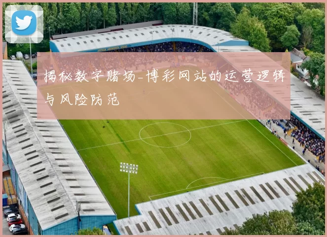 揭秘数字赌场_博彩网站的运营逻辑与风险防范