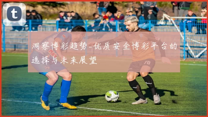 洞察博彩趋势_优质安全博彩平台的选择与未来展望