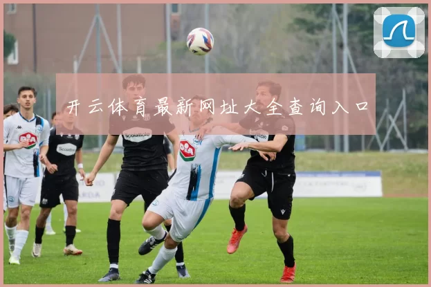 开云体育最新网址大全查询入口