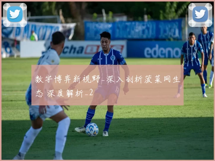 数字博弈新视野_深入剖析菠菜网生态 深度解析_2