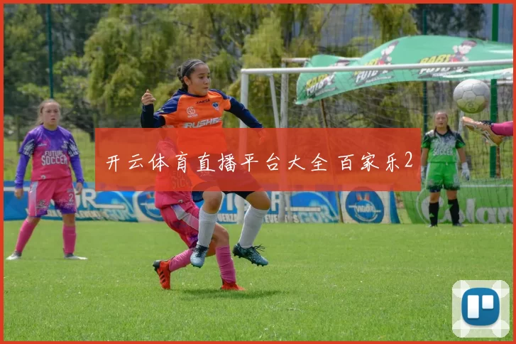 开云体育直播平台大全 百家乐2