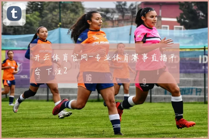 开云体育官网-专业体育赛事直播平台 下注2