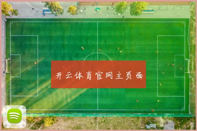 开云体育官网主页面