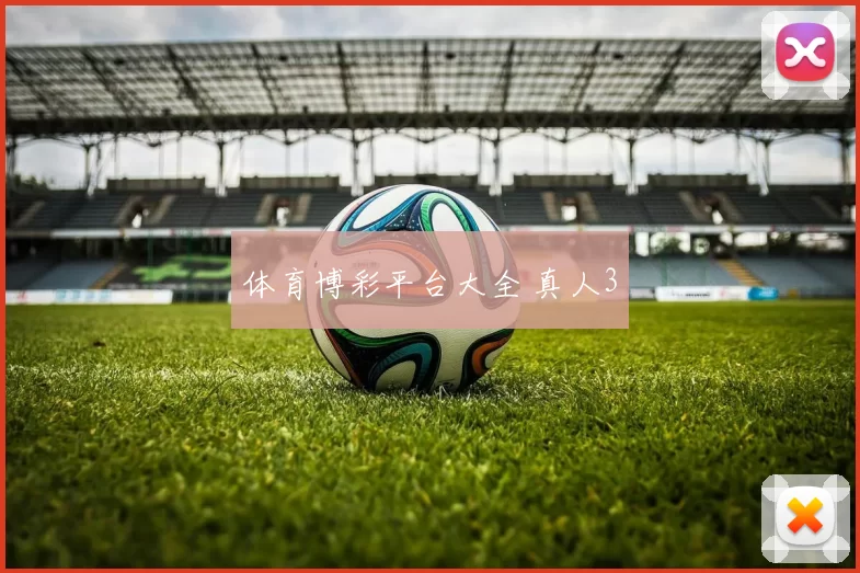 体育博彩平台大全 真人3