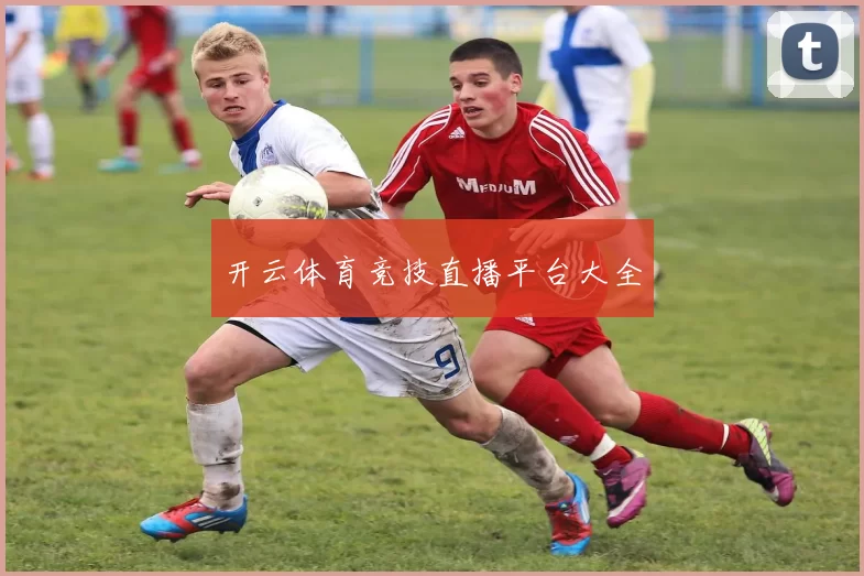 开云体育竞技直播平台大全
