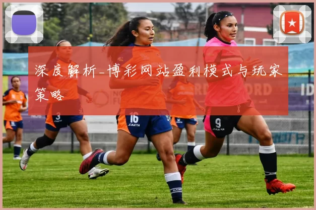 深度解析_博彩网站盈利模式与玩家策略