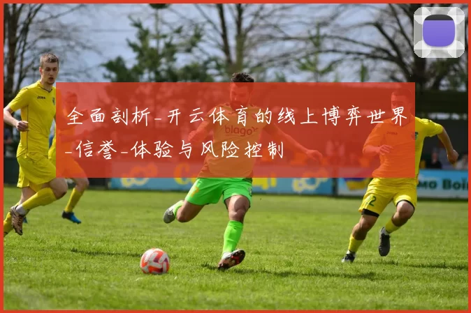 全面剖析_开云体育的线上博弈世界_信誉_体验与风险控制