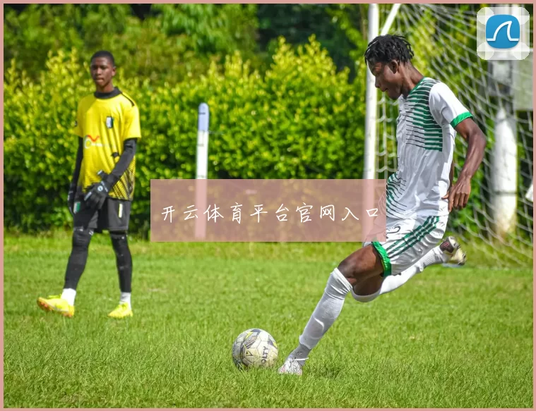 开云体育平台官网入口